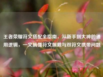 王者荣耀符文搭配全指南，从新手到大神的通用逻辑，一文搞懂符文佩戴与双符文携带问题