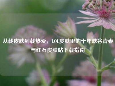 从载皮肤到载热爱，LOL皮肤里的十年峡谷青春与红石皮肤站下载指南