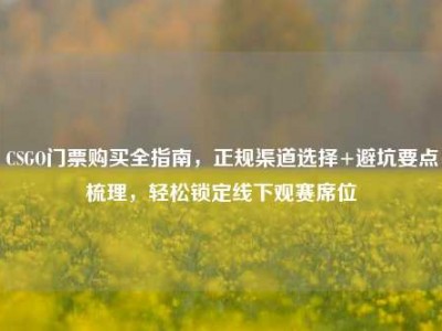 CSGO门票购买全指南，正规渠道选择+避坑要点梳理，轻松锁定线下观赛席位