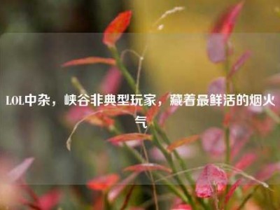LOL中杂，峡谷非典型玩家，藏着最鲜活的烟火气