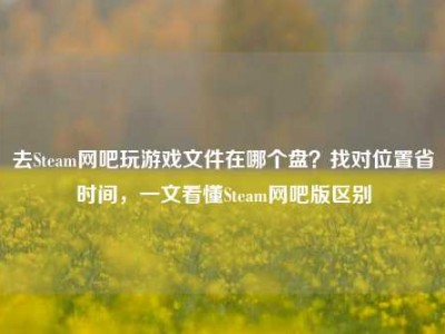 去Steam网吧玩游戏文件在哪个盘？找对位置省时间，一文看懂Steam网吧版区别
