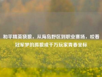 和平精英骁狼，从海岛野区到职业赛场，咬着冠军梦的孤狼成千万玩家青春坐标