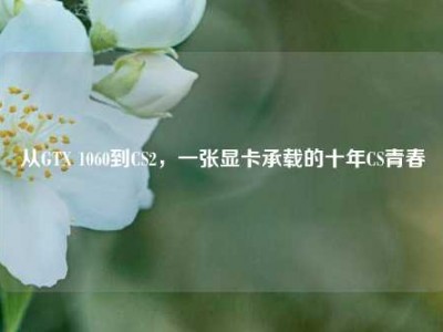 从GTX 1060到CS2，一张显卡承载的十年CS青春