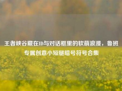 王者峡谷藏在ID与对话框里的软萌浪漫，鲁班专属创意小短腿暗号符号合集