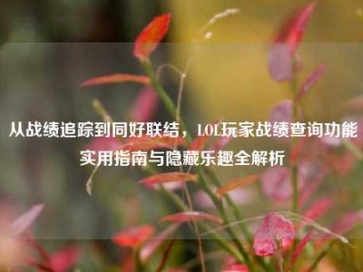 从战绩追踪到同好联结，LOL玩家战绩查询功能实用指南与隐藏乐趣全解析
