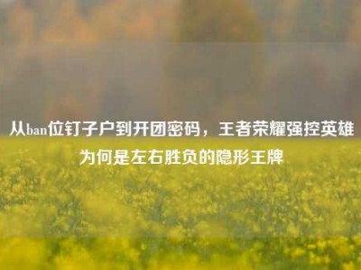 从ban位钉子户到开团密码，王者荣耀强控英雄为何是左右胜负的隐形王牌