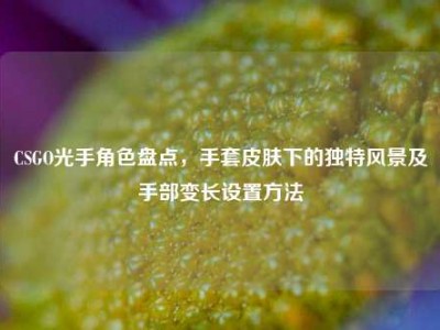CSGO光手角色盘点，手套皮肤下的独特风景及手部变长设置方法