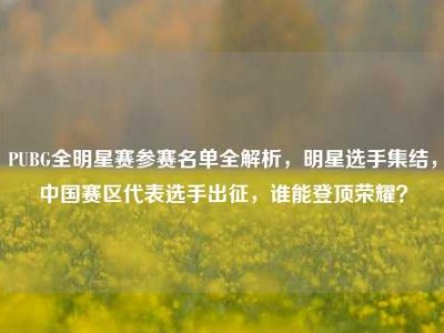 PUBG全明星赛参赛名单全解析，明星选手集结，中国赛区代表选手出征，谁能登顶荣耀？
