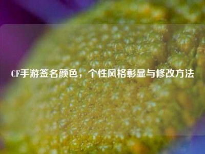CF手游签名颜色，个性风格彰显与修改方法