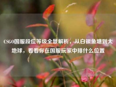 CSGO国服段位等级全景解析，从白银鱼塘到大地球，看看你在国服玩家中排什么位置