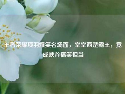 王者荣耀项羽爆笑名场面，堂堂西楚霸王，竟成峡谷搞笑担当