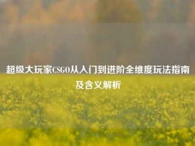超级大玩家CSGO从入门到进阶全维度玩法指南及含义解析