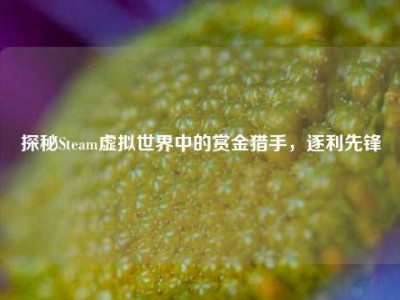 探秘Steam虚拟世界中的赏金猎手，逐利先锋