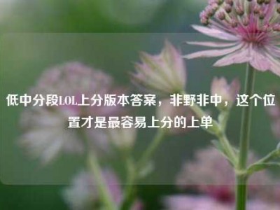 低中分段LOL上分版本答案，非野非中，这个位置才是最容易上分的上单