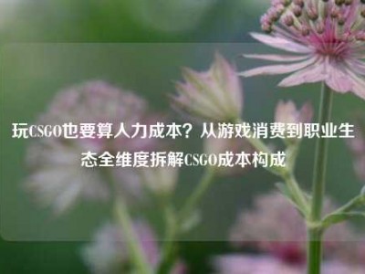 玩CSGO也要算人力成本？从游戏消费到职业生态全维度拆解CSGO成本构成