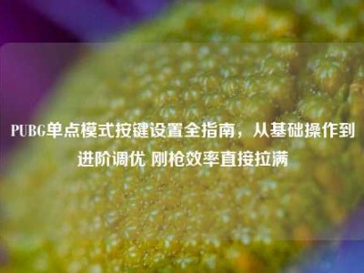 PUBG单点模式按键设置全指南，从基础操作到进阶调优 刚枪效率直接拉满