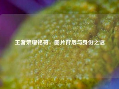 王者荣耀铭哥，图片背后与身份之谜