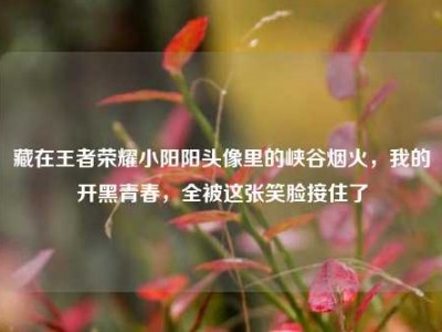 藏在王者荣耀小阳阳头像里的峡谷烟火，我的开黑青春，全被这张笑脸接住了