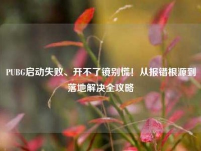 PUBG启动失败、开不了镜别慌！从报错根源到落地解决全攻略