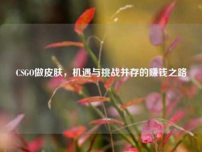 CSGO做皮肤，机遇与挑战并存的赚钱之路
