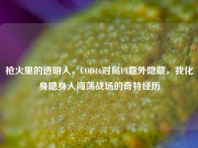 枪火里的透明人，COD16对局UI意外隐藏，我化身隐身人闯荡战场的奇特经历