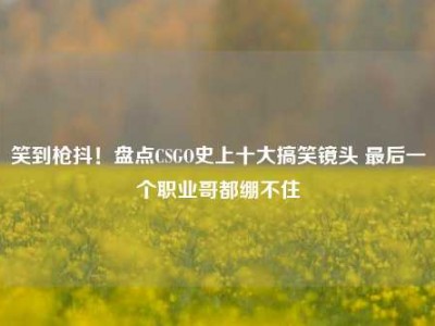笑到枪抖！盘点CSGO史上十大搞笑镜头 最后一个职业哥都绷不住