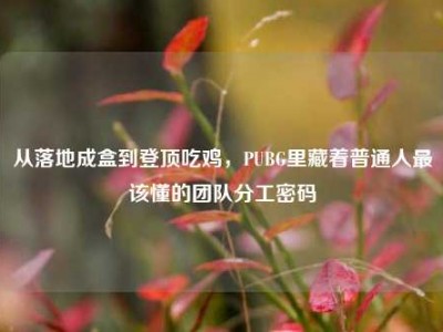 从落地成盒到登顶吃鸡，PUBG里藏着普通人最该懂的团队分工密码