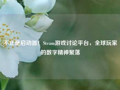 不止是启动器！Steam游戏讨论平台，全球玩家的数字精神聚落