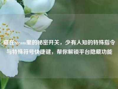 藏在Steam里的秘密开关，少有人知的特殊指令与特殊符号快捷键，帮你解锁平台隐藏功能