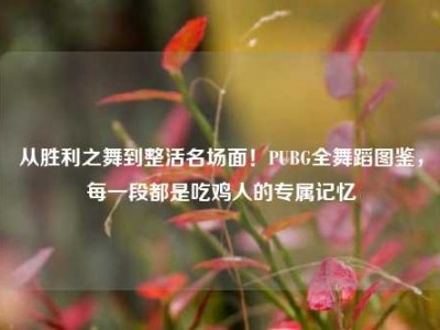 从胜利之舞到整活名场面！PUBG全舞蹈图鉴，每一段都是吃鸡人的专属记忆