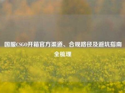 国服CSGO开箱官方渠道、合规路径及避坑指南全梳理