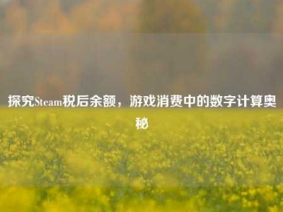 探究Steam税后余额，游戏消费中的数字计算奥秘