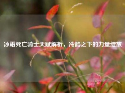 冰霜死亡骑士天赋解析，冷酷之下的力量绽放