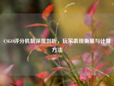 CSGO评分机制深度剖析，玩家表现衡量与计算方法