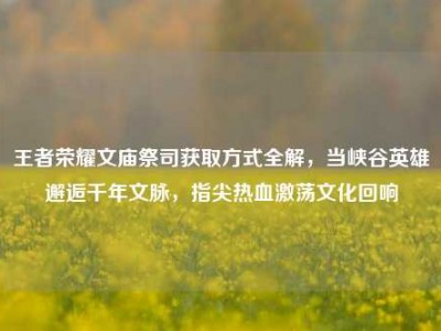 王者荣耀文庙祭司获取方式全解，当峡谷英雄邂逅千年文脉，指尖热血激荡文化回响