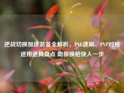 逆战切换加速装备全解析，PVE速刷、PVP对枪适用道具盘点 助你换枪快人一步