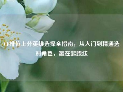 CF排位上分英雄选择全指南，从入门到精通选对角色，赢在起跑线