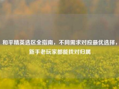 和平精英选区全指南，不同需求对应最优选择，新手老玩家都能找对归属