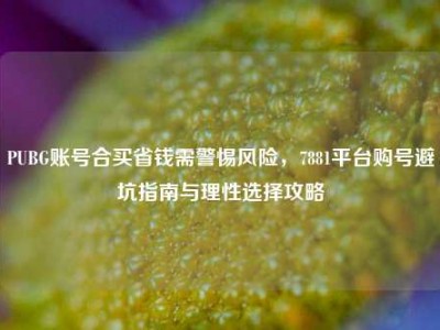 PUBG账号合买省钱需警惕风险，7881平台购号避坑指南与理性选择攻略