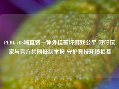 PUBG iOS端直装一体外挂破坏游戏公平 呼吁玩家与官方共同抵制举报 守护竞技环境根基