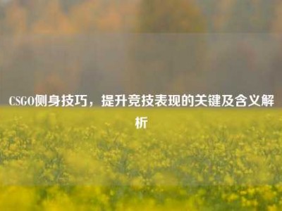 CSGO侧身技巧，提升竞技表现的关键及含义解析