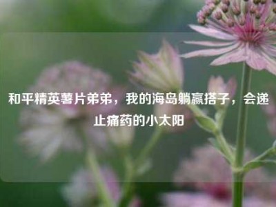 和平精英薯片弟弟，我的海岛躺赢搭子，会递止痛药的小太阳