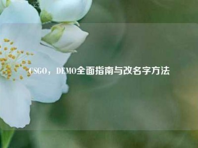 CSGO，DEMO全面指南与改名字方法