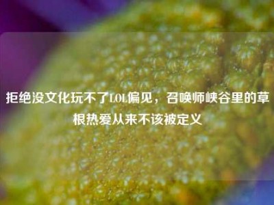 拒绝没文化玩不了LOL偏见，召唤师峡谷里的草根热爱从来不该被定义