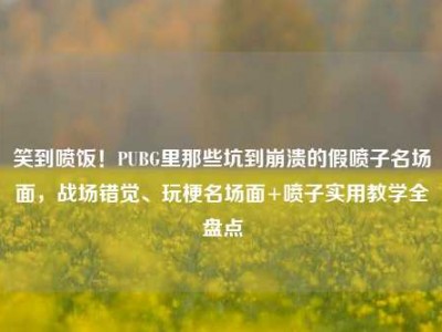 笑到喷饭！PUBG里那些坑到崩溃的假喷子名场面，战场错觉、玩梗名场面+喷子实用教学全盘点