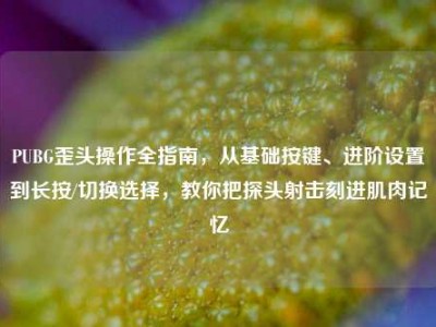 PUBG歪头操作全指南，从基础按键、进阶设置到长按/切换选择，教你把探头射击刻进肌肉记忆