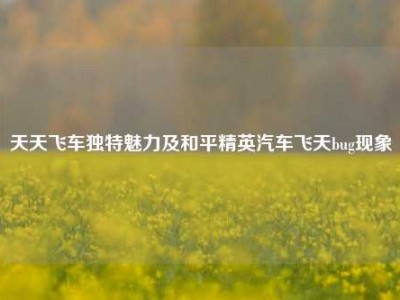 天天飞车独特魅力及和平精英汽车飞天bug现象