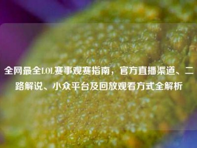 全网最全LOL赛事观赛指南，官方直播渠道、二路解说、小众平台及回放观看方式全解析