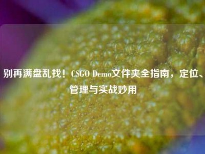 别再满盘乱找！CSGO Demo文件夹全指南，定位、管理与实战妙用