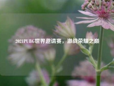 2021PUBG世界邀请赛，激战荣耀之巅